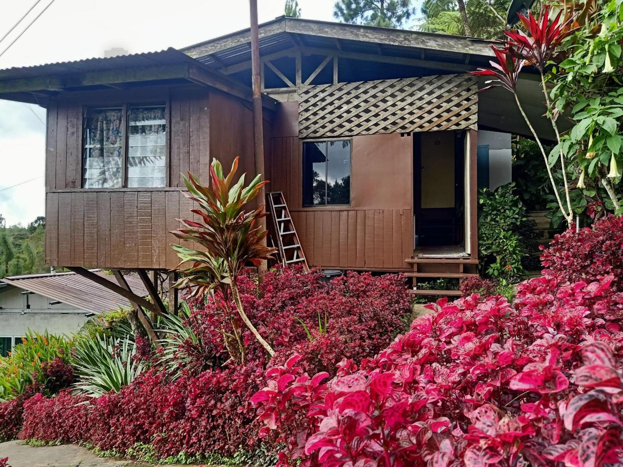 Oyo Home 90430 Mountain Resthouse ราเนา ภายนอก รูปภาพ